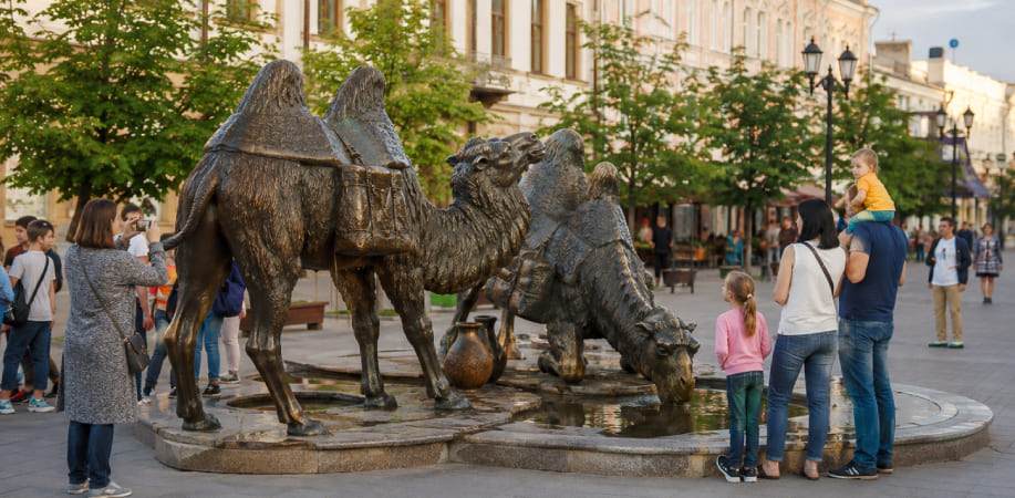 Верблюды на Кировке